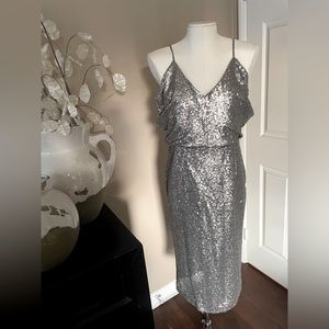 Dressy matte silver sequin dress